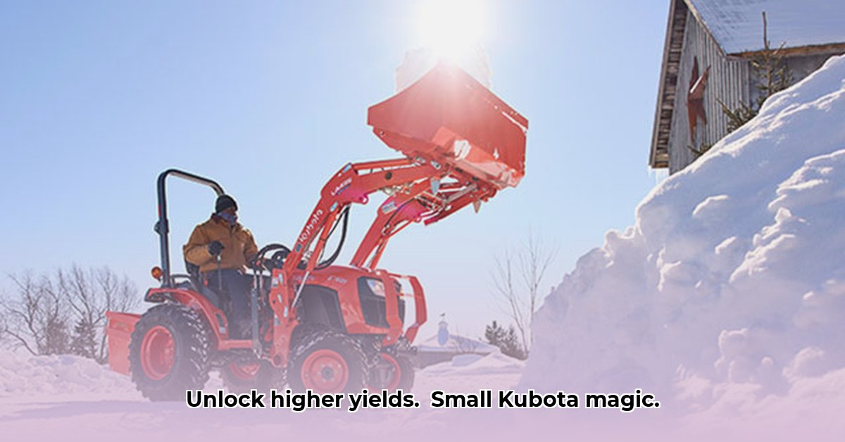 small-kubota-tractor